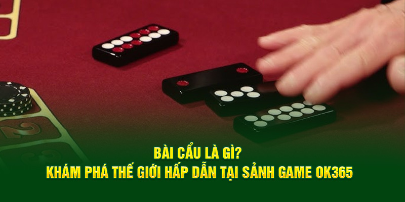 bai-cau-la-gi-kham-pha-the-gioi-hap-dan-tai-sanh-game-ok365